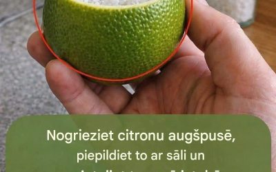 Sālīta citrona gaisa attīrītājs