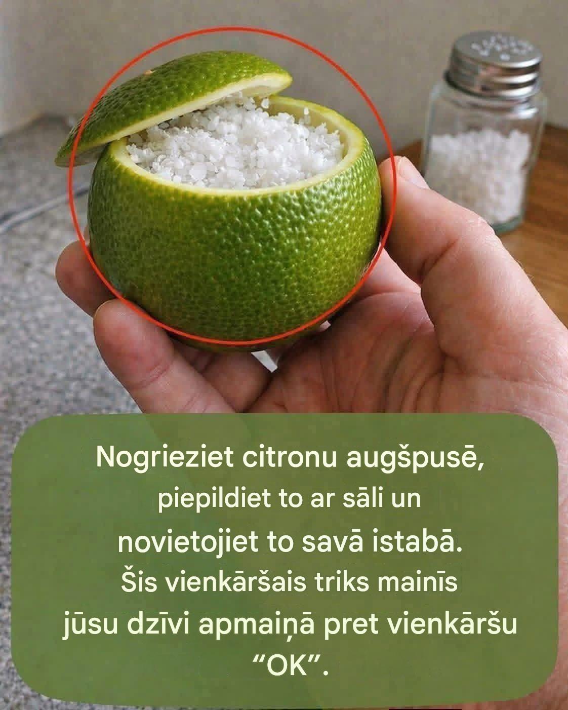Sālīta citrona gaisa attīrītājs