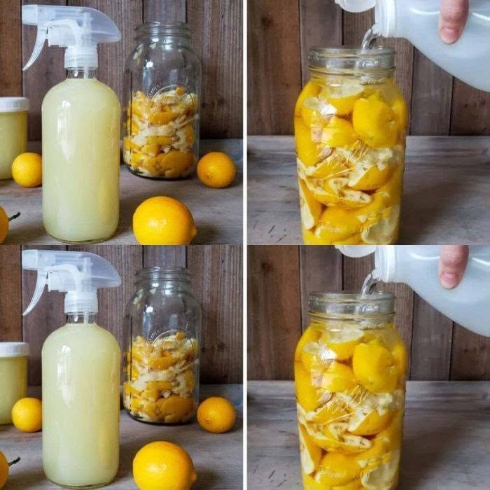 Citrusaugļu mizas: Ielieciet tās stikla burkā, un jums tās vairs nekad nebūs jāizmet, kā to vienmēr darīja mana vecmāmiņa!