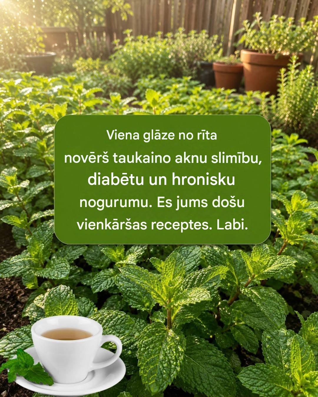 Piparmētra un citrons: mājas līdzeklis, kas attīra, atjauno un uzmundrina dažu minūšu laikā
